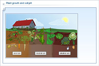 Plant growth and soil pH