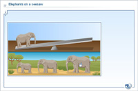 Elephants on a seesaw