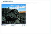 Formation of coal
